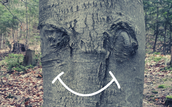 Elfenfenster & Naturgesichter